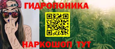 apvp Севастополь