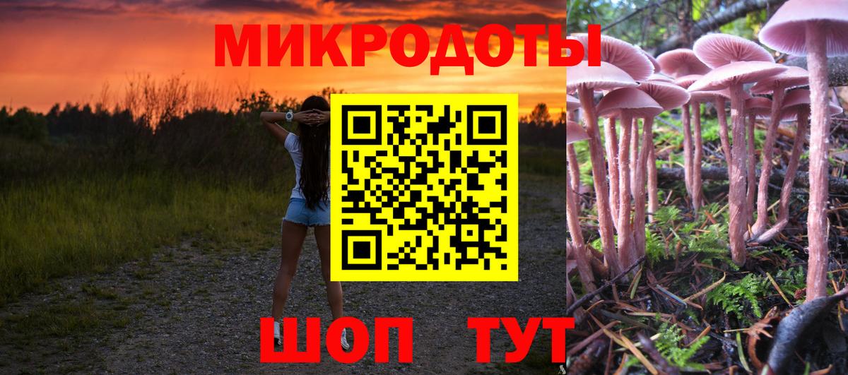 Псилоцибиновые грибы прущие грибы Орёл