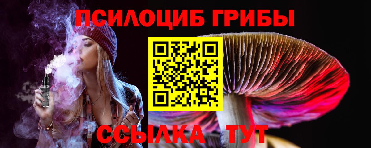 Псилоцибиновые грибы Psilocybine cubensis  Вход с VPN  Орёл 